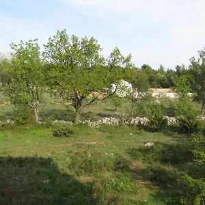 Paklina Starigrad Paklenica